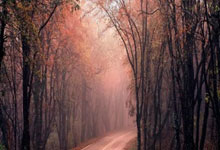 欧洲联赛精彩对决再现