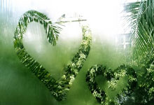 南美豪门马德里竞技赴战德黑兰斯巴达