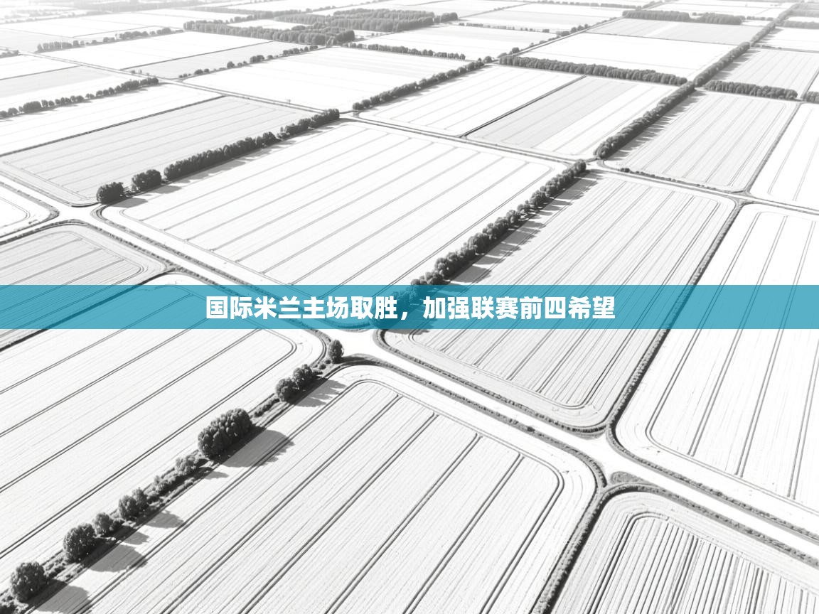 国际米兰主场取胜,加强联赛前四希望 第1张