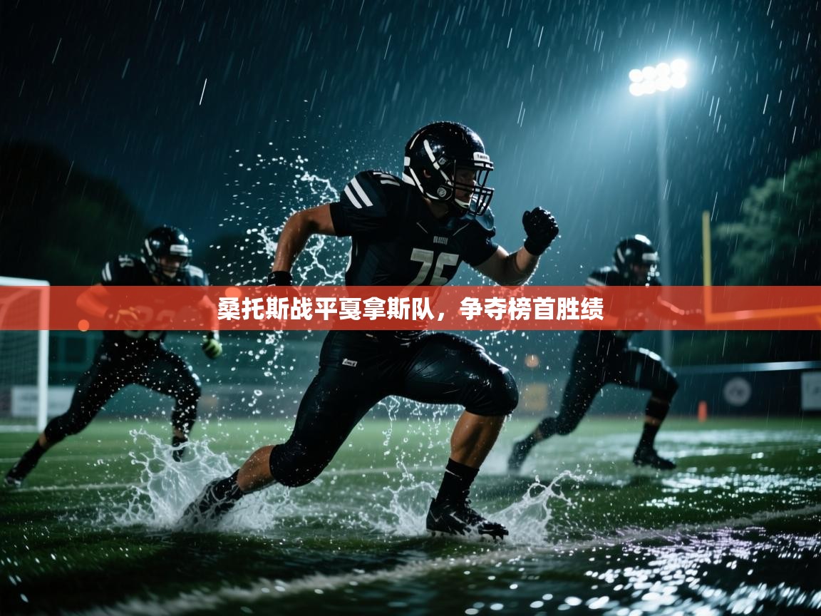 桑托斯战平戛拿斯队，争夺榜首胜绩  第2张