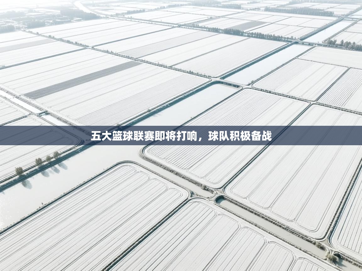 五大篮球联赛即将打响，球队积极备战  第1张