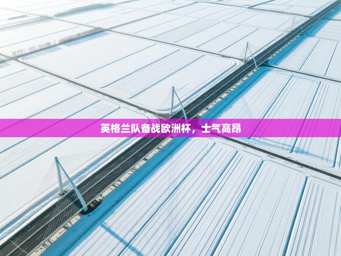 英格兰队备战欧洲杯，士气高昂  第1张